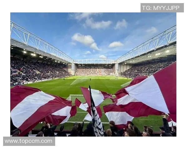 布赖顿主场迎战加的夫城力争三分巩固联赛地位